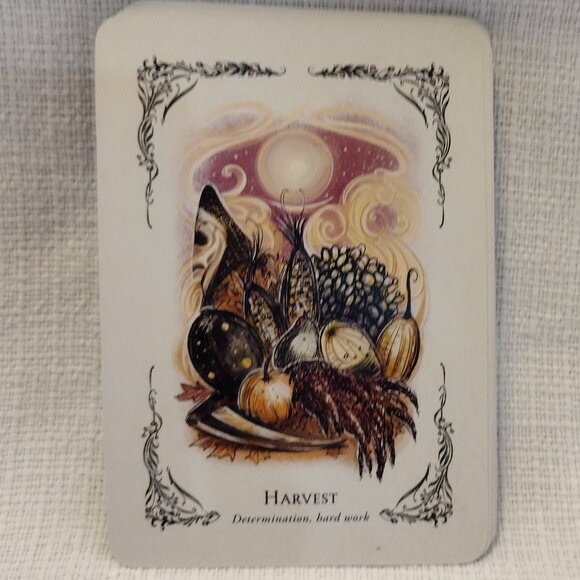 The Green Witch's Oracle Deck - Picture 12 of 14